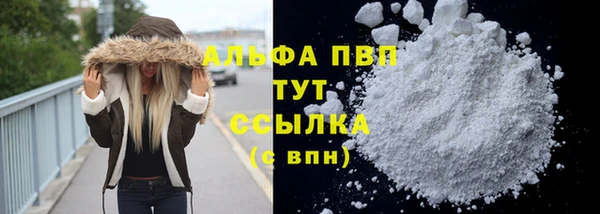 шишки Лагань