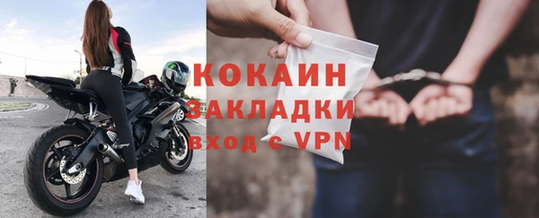 шишки Лагань