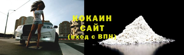 шишки Лагань