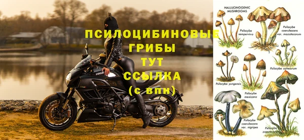 apvp Лабытнанги