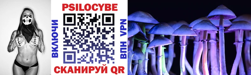 Галлюциногенные грибы мухоморы  Суджа 