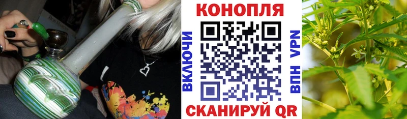 цены   Суджа  Бошки Шишки конопля 